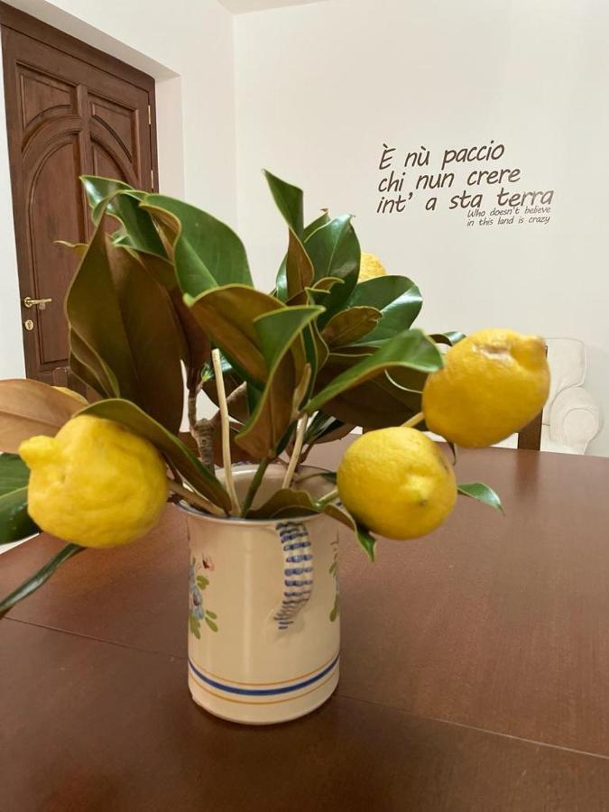 B&B Casa Letizia Trentinara Exterior photo